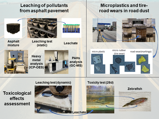 Environmental Impact